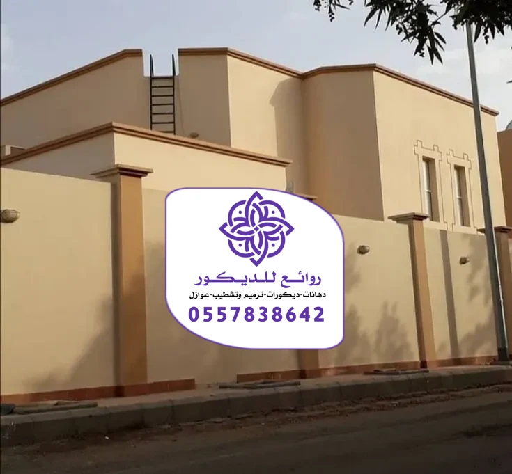 دهانات خارجية الرياض